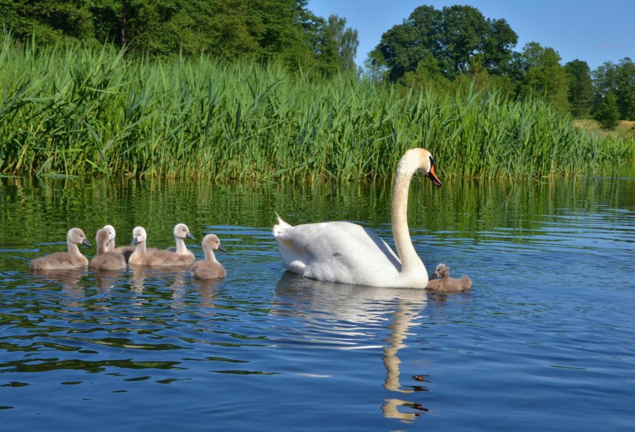 Jak Tu Ladnie - Osada I Siedlisko Mikołajki Buitenkant foto